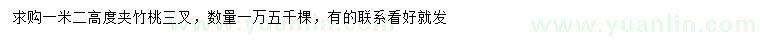 求購高1.2米夾竹桃
