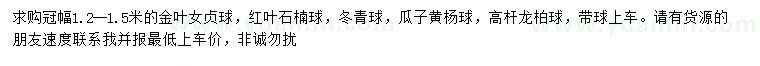 求購金葉女貞球、紅葉石楠球、冬青球等