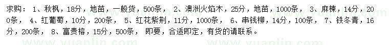 求購秋楓、澳洲火焰木、麻楝樹等