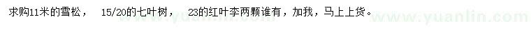 求購(gòu)雪松、七葉樹(shù)、紅葉李