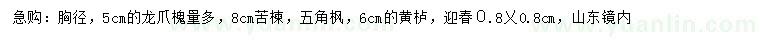 求購(gòu)龍爪槐、苦楝、五角楓等
