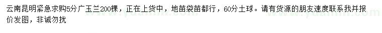 求購5公分廣玉蘭