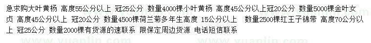 求購大葉黃楊、小葉黃楊、金葉女貞等