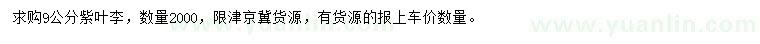 求購9公分紫葉李