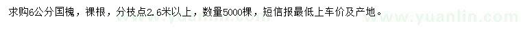 求購6公分國槐