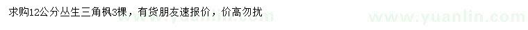 求購12公分叢生三角楓