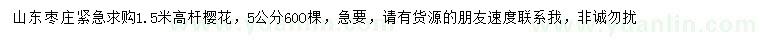 求購1.5米高桿櫻花