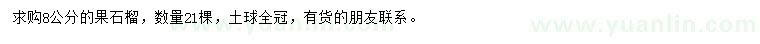求購8公分果石榴