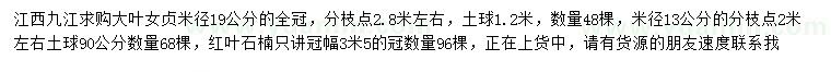求購米徑13、19公分大葉女貞、冠幅3.5米紅葉石楠