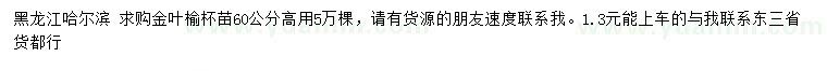 求購(gòu)高60公分金葉榆