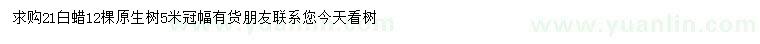 求購21公分白蠟