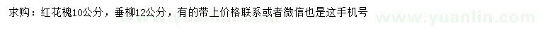 求購10公分紅花槐、12公分垂柳