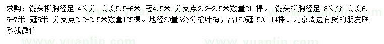 求購胸徑14、18公分饅頭柳、30量6公分榆葉梅