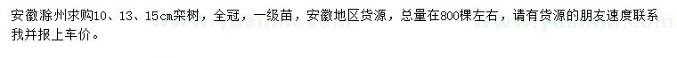 求購10、13、15公分欒樹