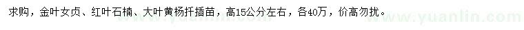 求購(gòu)金葉女貞、紅葉石楠、大葉黃楊