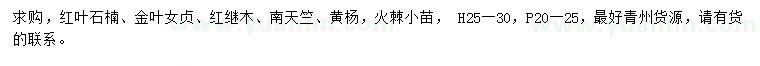求購紅葉石楠、金葉女貞、紅繼木等
