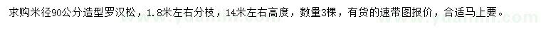 求購米徑90公分造型羅漢松