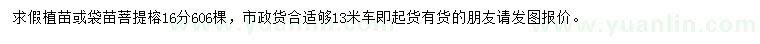 求購16公分菩提榕