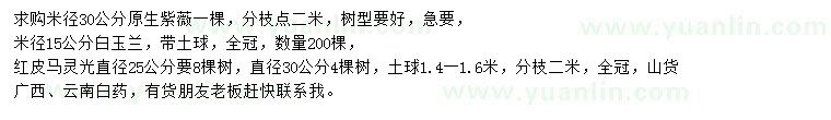 求購紫薇、白玉蘭、紅皮馬靈光