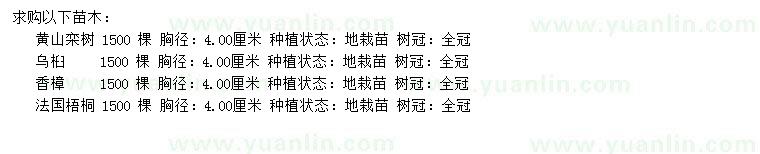 求購(gòu)黃山欒樹(shù)、烏桕、香樟等