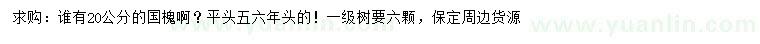 求購20公分國槐