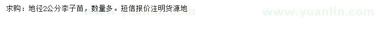 求購(gòu)地徑2公分李子小苗