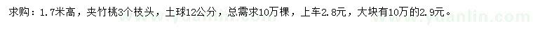 求購1.7米高夾竹桃
