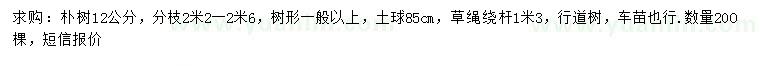 求購(gòu)12公分樸樹(shù)