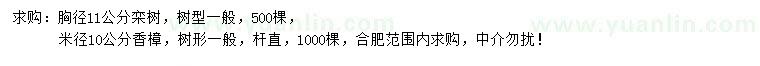求購胸徑11公分欒樹、米徑10公分香樟