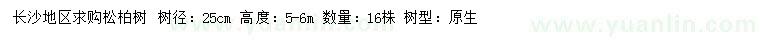 求購25公分松柏