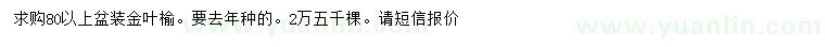求購80公分以上金葉榆