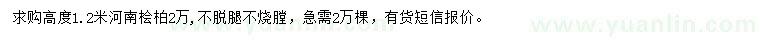 求購高1.2米河南檜柏