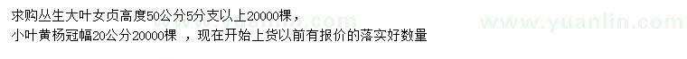 求購(gòu)高50公分叢生大葉女貞、冠幅20公分小葉黃楊