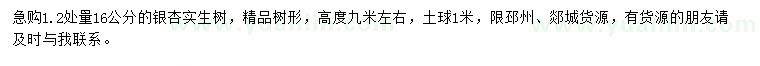 求購1.2量16公分銀杏