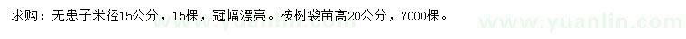 求購米徑15公分無患子