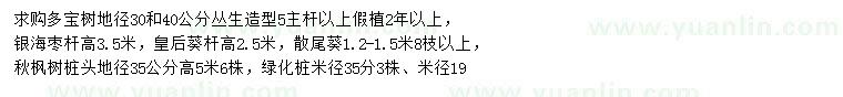 求購多寶樹、銀海棗、皇后葵等
