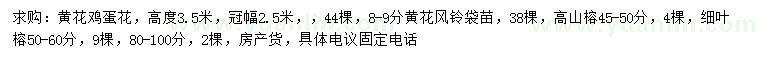 求購高3.5米黃花雞蛋花