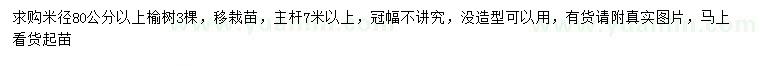 求購米徑80公分以上榆樹