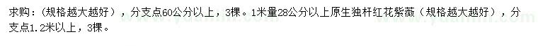 求購1米量28公分以上原生紅花紫薇