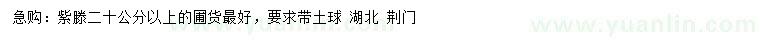 求購20公分以上紫藤