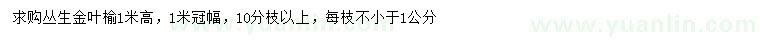 求購(gòu)高1米叢生金葉榆