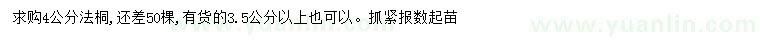 求購3.5公分以上法桐