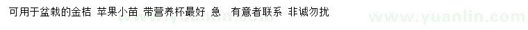 求購金桔樹、蘋果樹