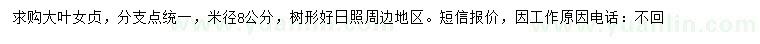 求購米徑8公分大葉女貞