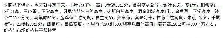 求購小葉女貞球、含笑、金葉女貞等