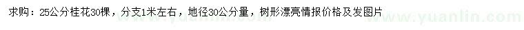 求購25公分桂花