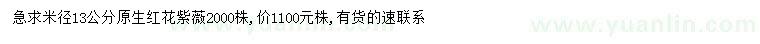 求購米徑13公分原生紅花紫薇