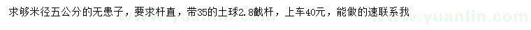 求購米徑5公分無患子