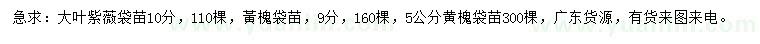 求購(gòu)10公分大葉紫薇、5、9公分黃槐