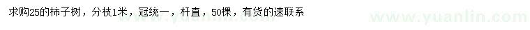 求購(gòu)25公分柿子樹